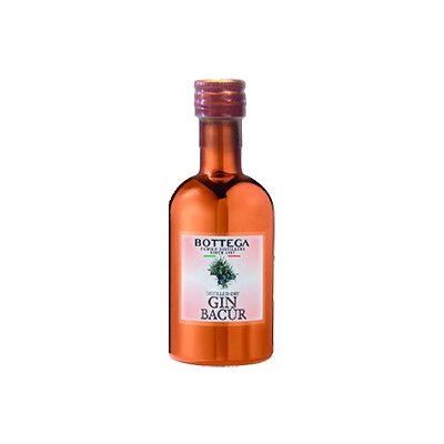 BOTTEGA Bacûr Dry Gin 0,05 Liter - Mignon
